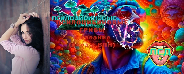 гидропоника Балахна
