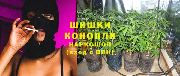 соль ск Арсеньев