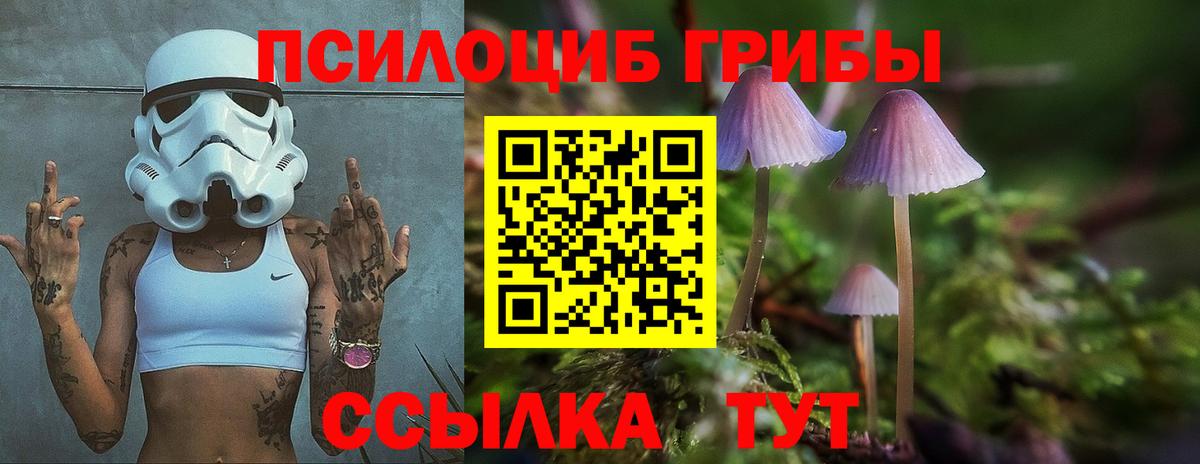 Галлюциногенные грибы Magic Shrooms  Вход с VPN  где продают   Белово 